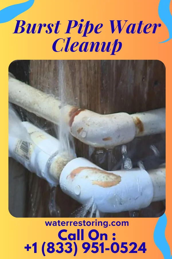 Burst Pipe Water Cleanup in Stamford, NE
