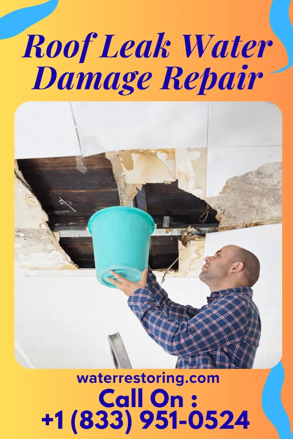 Roof Leak Water Damage Repair in Stamford, NE