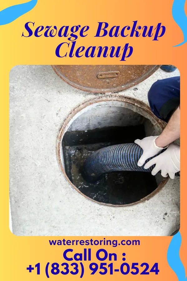 Sewage Backup Cleanup in Stamford, NE